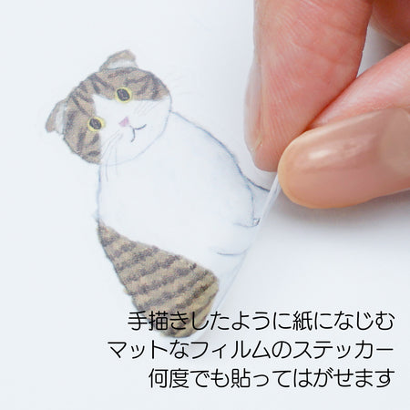 Greeting Life Inc. Matte Film Sticker Sheet - Yusuke Yonezu Cats Close Up