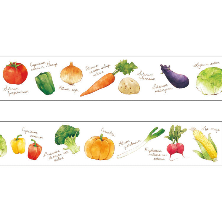 Papier Platz x moriyue Washi Tape - Garden Foods (20mm) Design