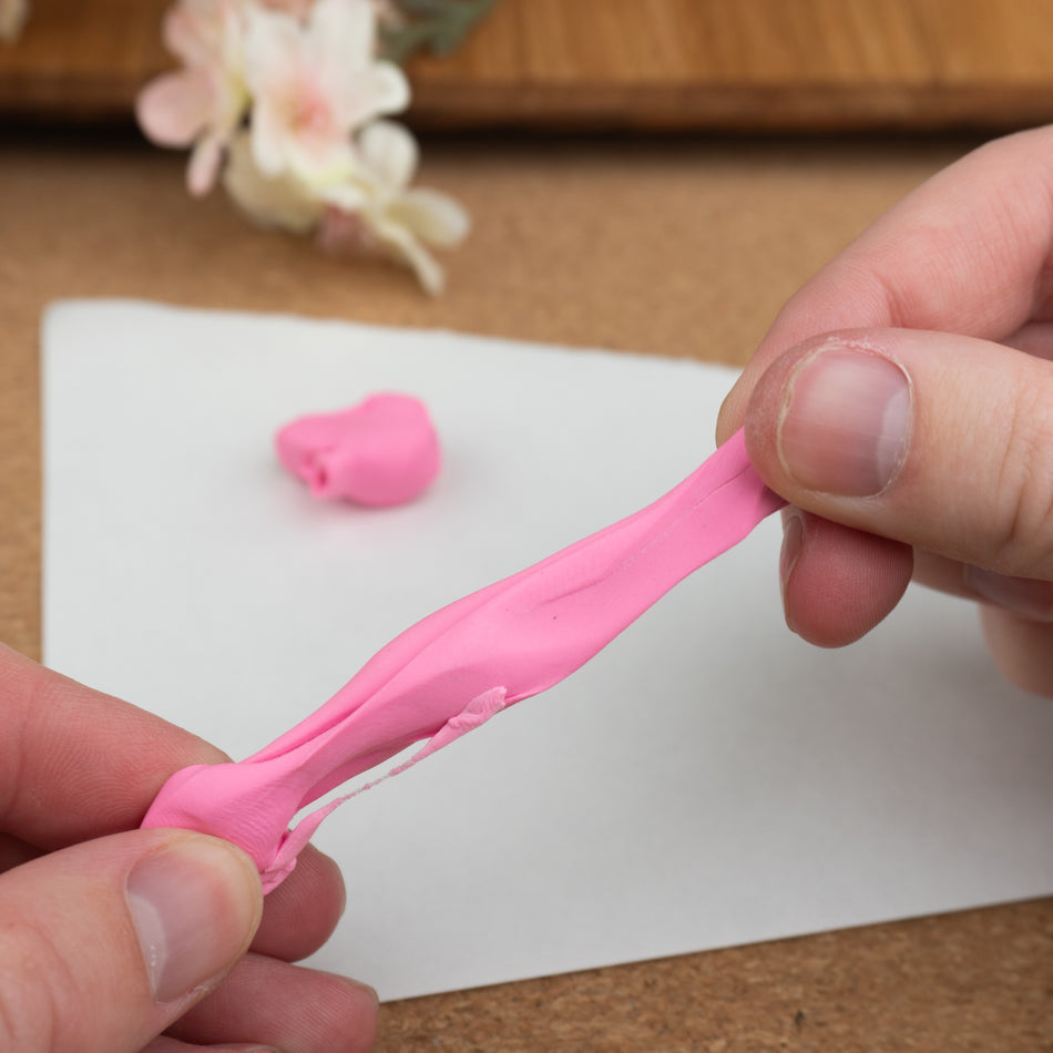 Seed Co. Scented Kneaded Eraser Sweet Scent Series Pull